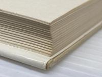 日本経営の探究―株式会社にっぽん (1970年) (企業戦略の展望〈1〉)