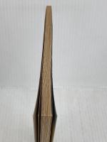 【難あり】下北半島の悪魔: 核燃料サイクルと原子力マフィアの陰謀 宝島社