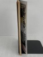 【難あり】下北半島の悪魔: 核燃料サイクルと原子力マフィアの陰謀 宝島社