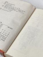 秘境西域八年の潜行 (1967年)