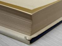 マドラプールに消えた (1982年) (Hayakawa novels)