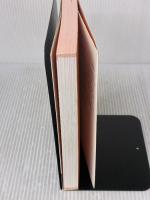 2度目の会話が続きません (サンクチュアリ出版) サンクチュアリ出版 野口敏