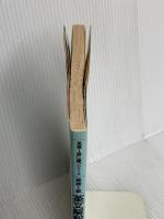 英文解釈 (英検1級に勝つシリーズ) 日本英語教育協会 岩下 貢
