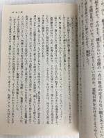 黄金海峡 (徳間文庫 424-4) 徳間書店 南里 征典