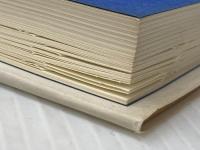 ※イタミ有 ねじ式夜話・つげ義春とその周辺 北冬書房 権藤 晋