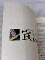 バカヅキハリケーン: マージャン百科全書 史上最強位によるエキサイティングマージャン戦術書 竹書房 馬場 裕一