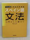 NHK出版 これならわかるスペイン語文法 入門から上級まで NHK出版 廣康 好美