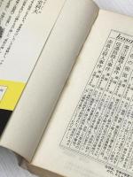 ※イタミ有 シルクロード殺人事件 (1982年) (Kosaido blue books) 広済堂出版 中堂 利夫