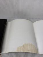 【※イタミ有り】光の闇 扶桑社 佐伯 一麦