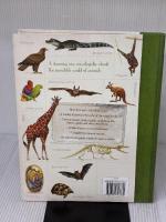 Children's Animal Encyclopedia: A comprehensive look at the world of animals with hundreds of superb illustrations