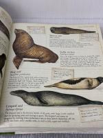 Children's Animal Encyclopedia: A comprehensive look at the world of animals with hundreds of superb illustrations