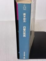 白昼の死角 (光文社文庫 た 4-14) 光文社 高木 彬光