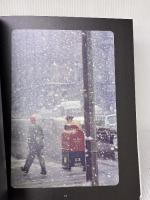 まだ見ぬソール・ライター THE UNSEEN SAUL LEITER 青幻舎 マーギット・アーブ