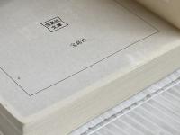 総理にされた男 (宝島社文庫 『このミス』大賞シリーズ) 宝島社 中山 七里