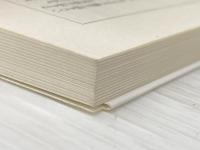 ことばと思考 (岩波新書) 岩波書店 今井 むつみ