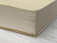 論文教室生中継 法学系 (駿台受験叢書) 駿台文庫 神津 陽