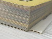 ※イタミ有 モンスターファーム2マニア: モンスターカード全408種類を集める本 (じゅげむBOOKS) KADOKAWA(メディアファクトリー)