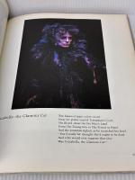 Cats: The Book of the Musical (Harvest/Hbj Book) Mariner Books AndrewLloyd Webber