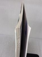 【※イタミ有り】無手勝流GR1読本 (カメラジャ-ナルbooks) アルファベータブックス 田中長徳