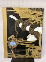 魔天: 天野喜孝画集 朝日ソノラマ 天野 喜孝
