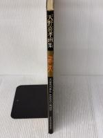 飛天: 天野喜孝画集 朝日ソノラマ 天野 喜孝