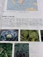 【※書き込み有り】進化―分子・個体・生態系 メディカルサイエンスインターナショナル ニパム・H. パテル