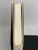 天皇ごっこ 電子本ピコ第三書館販売 見沢 知廉