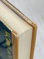 天皇ごっこ 電子本ピコ第三書館販売 見沢 知廉