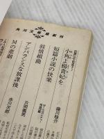 Seldom‐illegal―時には、違法 KADOKAWA 坂本 龍一