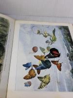 【※イタミ有り】妖精画廊―挿絵黄金期の絵師たち (1980年) (妖精文庫〈別巻〉)
