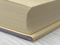 西鶴集 (1980年) (鑑賞日本の古典〈15〉) 尚学図書 長谷川 強