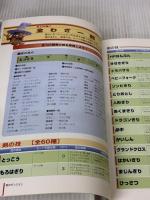 【※イタミ有り】トルネコの大冒険2公式パーフェクトガイド: ドラゴンクエスト・キャラクターズ 不思議のダンジョン チュンソフト