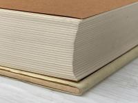 蜃気楼 (パレスチナ選書) 電子本ピコ第三書館販売 ナギーブ マハフーズ