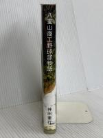 八重山商工野球部物語 ヴィレッジブックス 神田 憲行