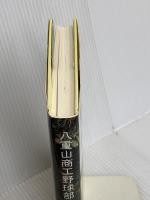 八重山商工野球部物語 ヴィレッジブックス 神田 憲行