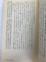 空飛ぶ円盤 (エピステーメー叢書) 朝日出版社 松代洋一