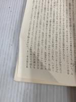 幻影の書 (新潮文庫) 新潮社 ポール オースター