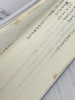 天は赤い河のほとり外伝眉月 (ルルル文庫) 小学館 篠原 千絵
