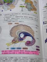 【※書き込み有り】病気がみえる vol.7 脳・神経 第2版 メディックメディア