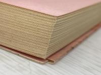 実話・コカイン密売最前線 電子本ピコ第三書館販売 北井 信一