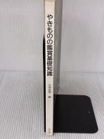 【※イタミ有り】やきものの鑑賞基礎知識 至文堂