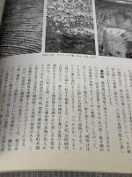 【※イタミ有り】やきものの鑑賞基礎知識 至文堂