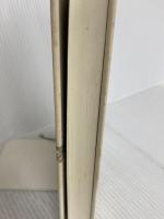 表象の現代 翰林書房