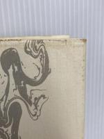 表象の現代 翰林書房