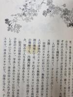 妙なる畑に立ちて 新泉社 川口 由一