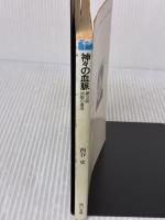 【※イタミ有り】神々の血脈〈第3話〉妖姫の復活 (角川文庫―スニーカー文庫) KADOKAWA 西谷 史