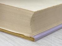 科学的発見の現象学 紀伊國屋書店 A. ブラニガン
