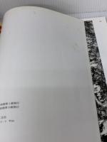 【※イタミ有り】西狭頌［後漢/隷書］ (中国法書選 7) 二玄社