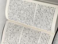 木村・相良 独和辞典 (新訂) 博友社