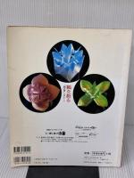 【※イタミ有り】鶴を折る: 暮らしに活かされた美しい折鶴たち (レディブティックシリーズ no. 1241) ブティック社